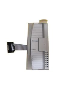 MLX 1200 24VDC 32 POINT SOURCE