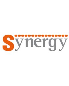 HOURLY COST FOR SYNERGY SUPPORT
