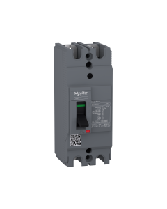 circuit breaker Easypact EZC100H - TMD - 60 A - 2 poles 2d